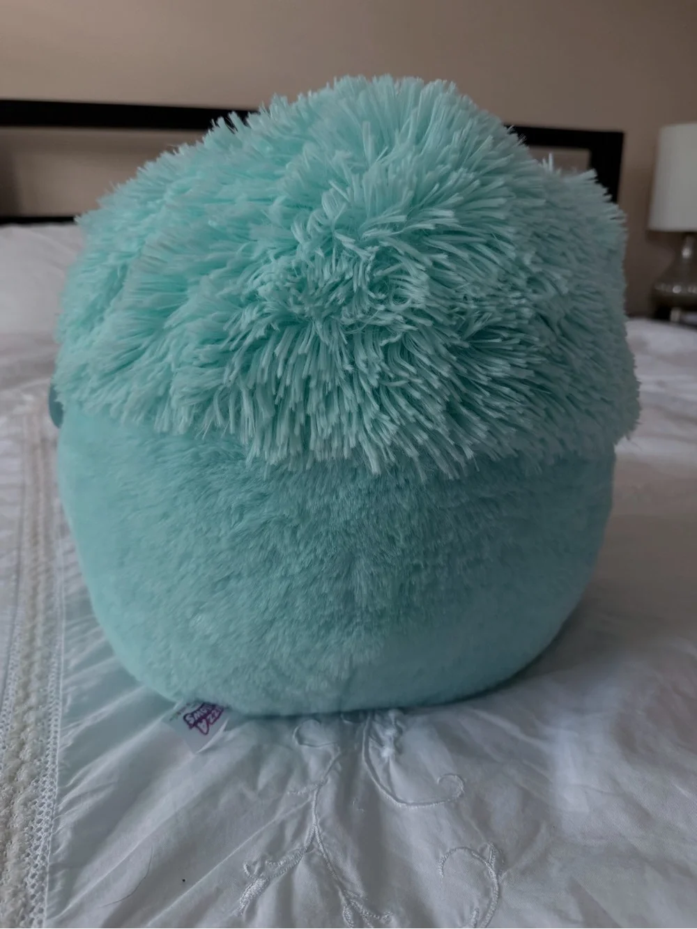 Squishmallows Teal Plush Small Pet Toy with Heart Paw Details